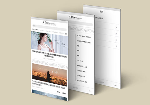 A Day Magazine App 項目